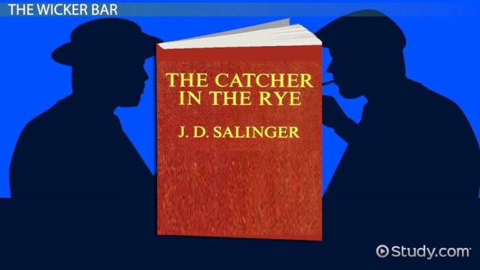 Catcher in the rye ch 11