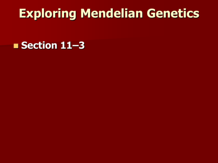 Section 11-3 exploring mendelian genetics