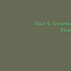 Section 11-3 exploring mendelian genetics