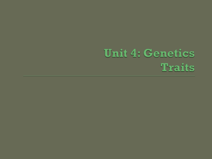 Section 11-3 exploring mendelian genetics