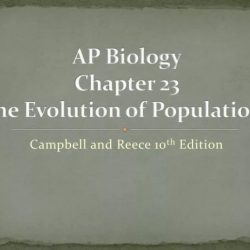 Ap biology 050 populations answers