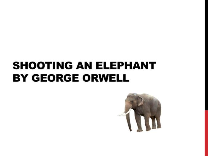 Shooting an elephant question answers