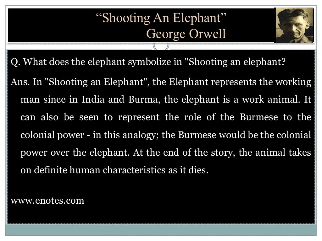 Shooting an elephant question answers