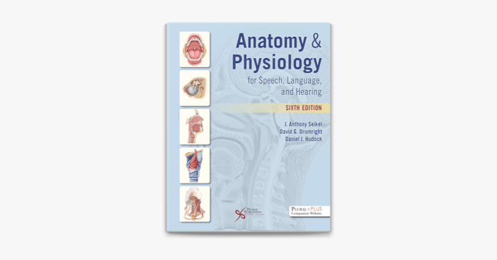 Anatomy and physiology for speech language and hearing 6th edition