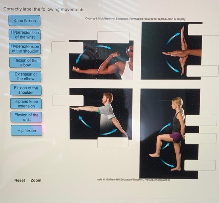 Movement movimientos anatomical motion corporales corporal nombres circumduction