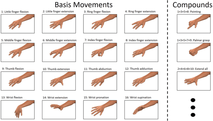 Label the motions demonstrated in the images