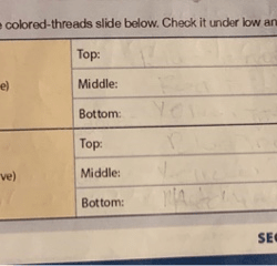 Record your observations of the colored thread slide below