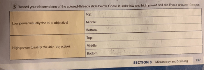 Record your observations of the colored thread slide below