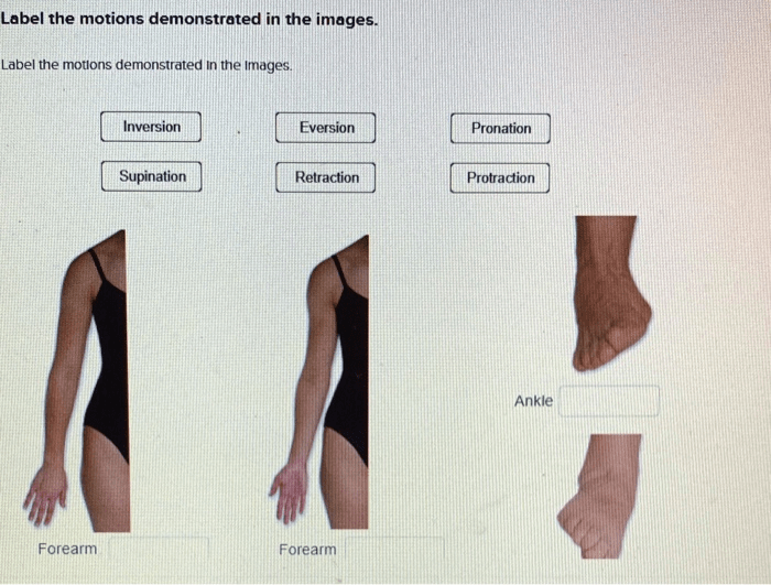 Label the motions demonstrated in the images