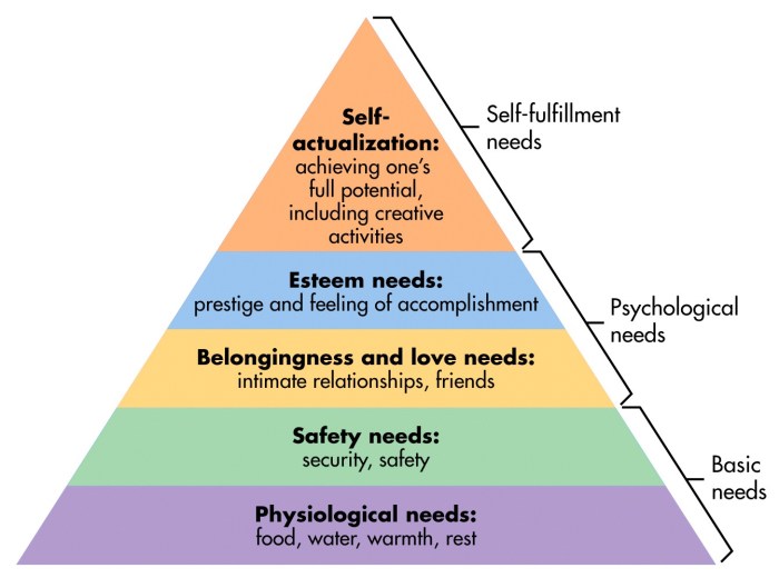 Hierarchy maslow maslows